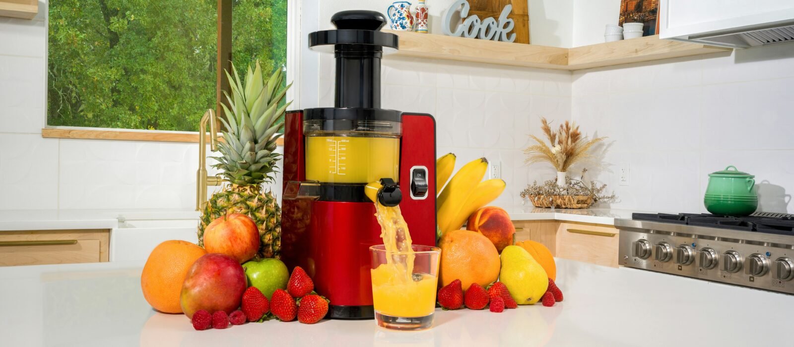 Best Juicers for Beginners in 2026: Easy Operation, Simple Cleanup, and Fresh Juice Every Morning