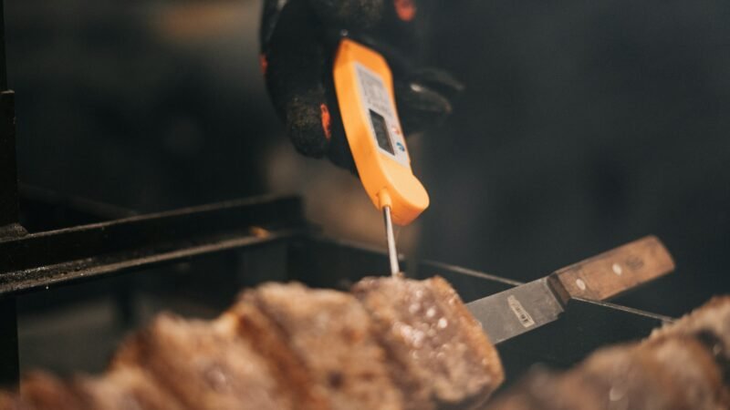 Best Meat Thermometers in 2026: 5 Accurate Picks for Perfect Doneness Every Time