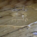 Best Smart Water Leak Detectors in 2026: Catch the $11,000 Leak Before It Reaches Your Floors