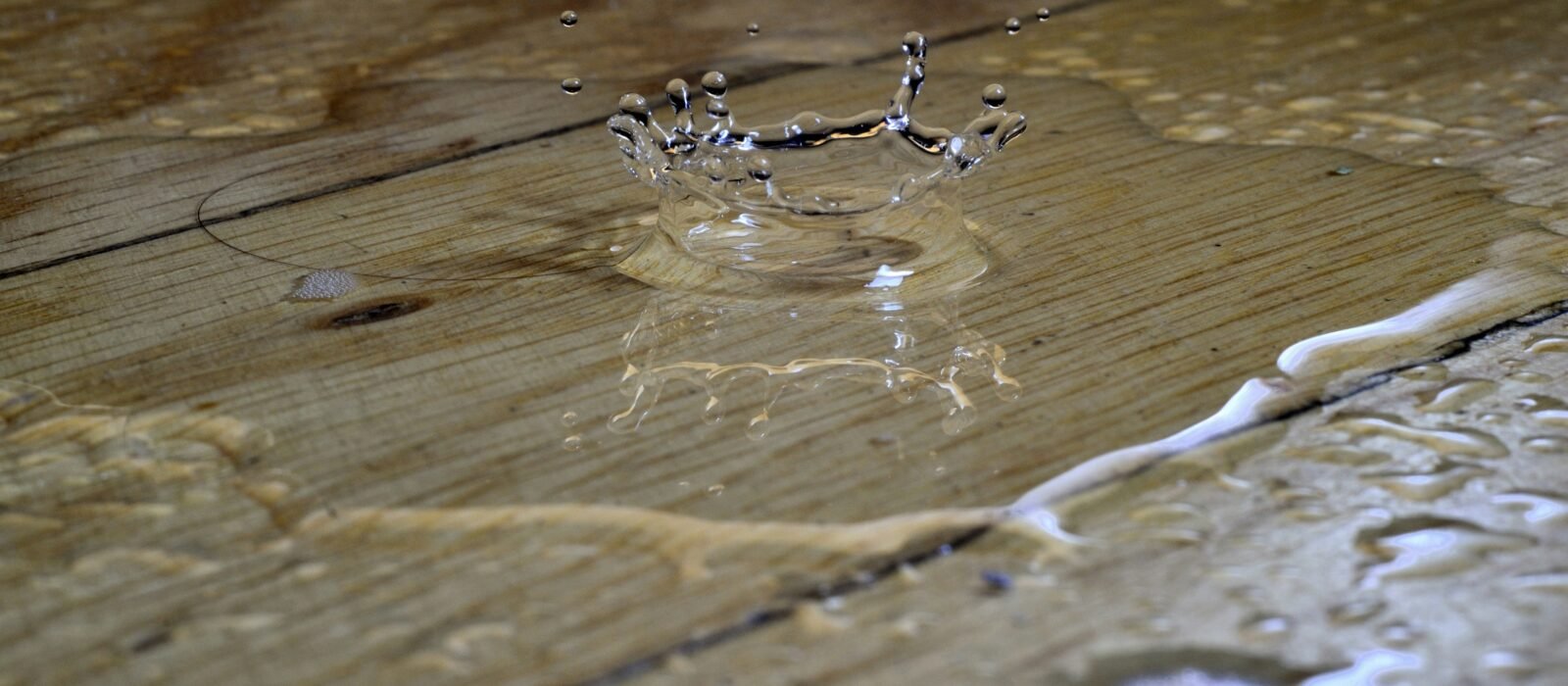 Best Smart Water Leak Detectors in 2026: Catch the $11,000 Leak Before It Reaches Your Floors