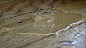 best smart water leak detectors in 2026