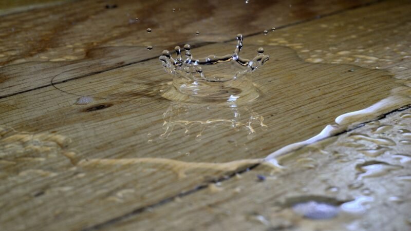 Best Smart Water Leak Detectors in 2026: Catch the $11,000 Leak Before It Reaches Your Floors