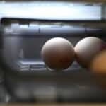 Best Egg Cookers in 2026: Perfect Boiled, Poached, and Soft Eggs
