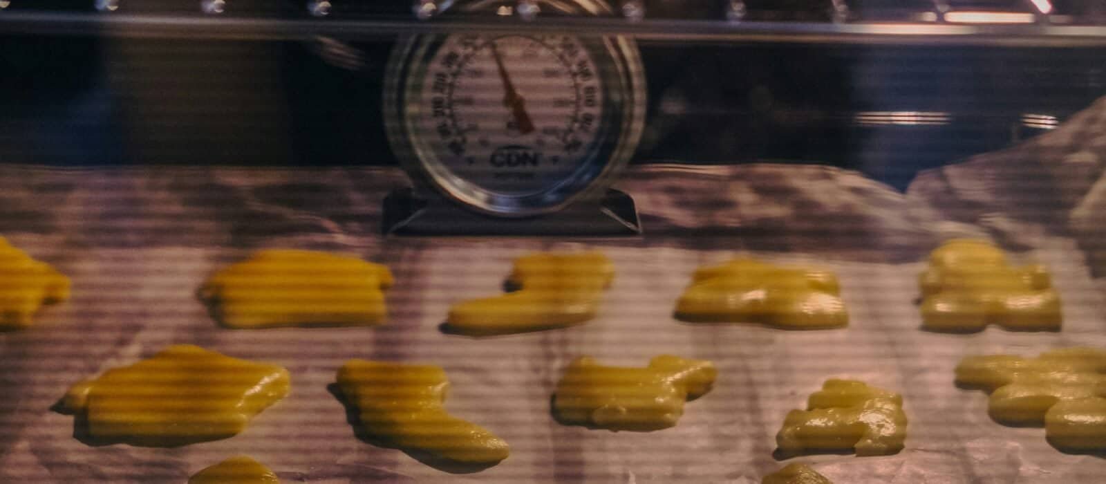 How to Clean a Food Dehydrator: A Simple Routine